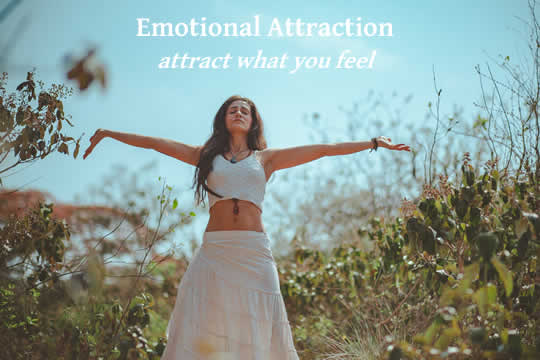 emotional attraction
